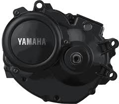 Cambio de rodamientos motor Yamaha PW